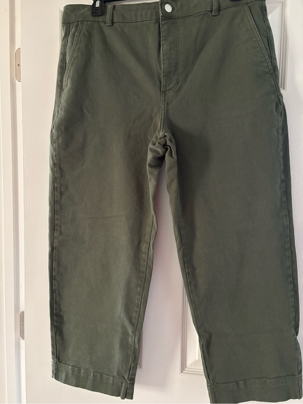 Everlane Ankle Straight Pants 26in inseam